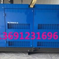 原装日本进口东洋发电机TDL75000TE-BS