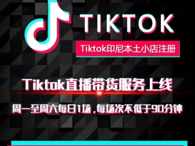电子产品发印尼海运图3