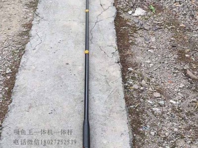 福建锂电一体竿厂家,充电竿捕渔工具批发,抓鱼棒图2