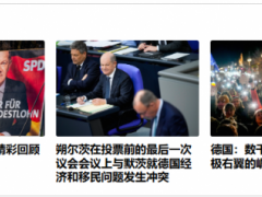 德国极右翼力量不满在选举中投票，经济、移民成为焦点