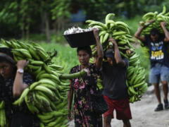 联合国谈判在罗马结束，各国支持每年 2000 亿美元的自然保护计划