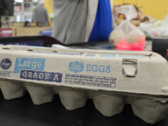 鸡蛋生产商在禽流感爆发期间抬高价格以提高利润吗？