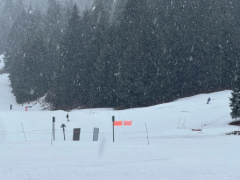 专家和救援团队希望到达埋葬 3 名滑雪者的阿拉斯加雪崩现场