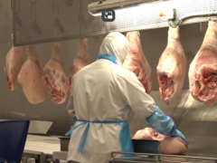 外国工人帮助西班牙的经济增长超过美国和欧洲其他地区