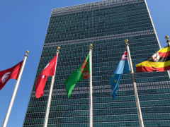 特朗普政府要求联合国机构披露任何“反美”关系