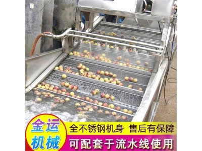 可定制气泡清洗机 净菜加工流水线 菠菜油菜黄瓜芹菜洗菜机图2