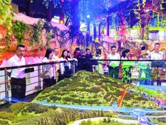 企业家代表来涪陵美心红酒小镇景区开展考察