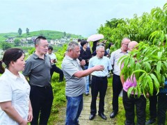 农学会在南沱镇召开“科技助农下基层 共谋产业促振兴”助农活动