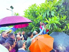 枇杷采收接近尾声 技术培训助来年丰收