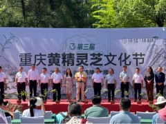 第三届重庆黄精灵芝文化节开幕