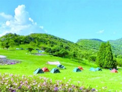 涪陵高山避暑指南：20℃清凉结界里的住宿与露营推荐