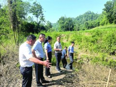 ​汛期来临，马武镇组织村民开展小溪河汛期安全执法检查行动
