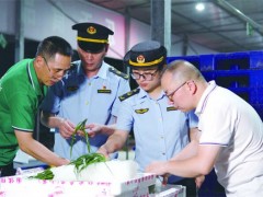 市监执法人员深夜突检……