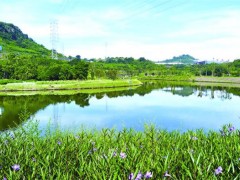 涪陵高新区涞滩河太极湾段，一幅生机盎然的生态画卷正徐徐展开