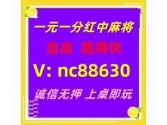 【诚信可靠】红中麻将跑得快一元一分@火爆加入