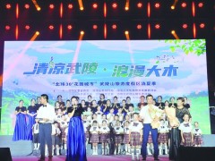武陵山夏夜飘来清凉“音乐海洋” 千名游客欢度避暑音乐之旅