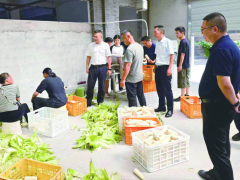 人大代表化身主播 武陵山糯玉米热卖30万元