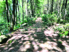 涪陵77岁“当代愚公”凿山铺就十里“暖心路”