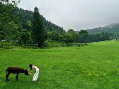购白鹤梁演唱会门票享多重福利 涪陵及跨区16家景区免票或5折