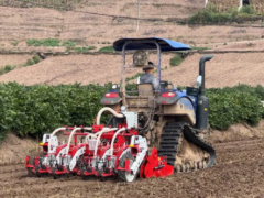 涪陵榨菜种植迈向全程机械化 直播农机助力产业变革