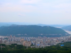 央视关注涪陵：“两岸青山” 绘新卷 生态与发展共荣共生