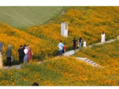 重庆双节景区人气旺：红色游、自然游、文化游多点开花