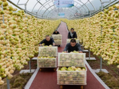 2025 重庆市食品及农产品加工高质量发展产业生态大会在重庆举行