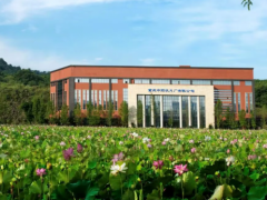 智能制造 + 传统炮制！重庆这家中药企业以创新实现产销量双突破