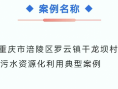 涪陵干龙坝村农村生活污水资源化案例入选全国典型，为乡村治污提供 “可复制样本”
