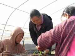 以 30 年青春在高山种出 “中国花园梦”，获评 “涪陵好人”