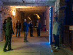 中外嘉宾探秘816 工程与白鹤梁水下博物馆尽显中国智慧，获高度赞誉