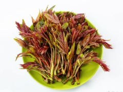 春日尝鲜必看！7大“营养王者”春菜盘点 这样吃更健康