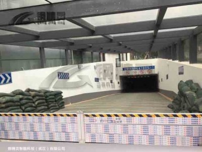 湖北防淹挡水墙 车库挡水门图2