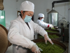 茶香润民生 非遗助振兴——涪陵大顺镇红茶产业绘就富民兴村新画卷