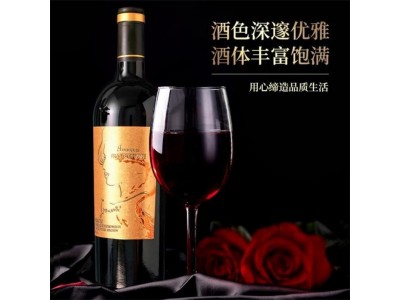 温碧霞自创IRENENA红酒VCE1号进口法国干红葡萄酒图2