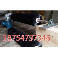 电动型毛刷清扫器B1200型带电机减速机