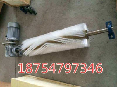 毛刷型清扫器B1000皮带机粉尘清扫图1
